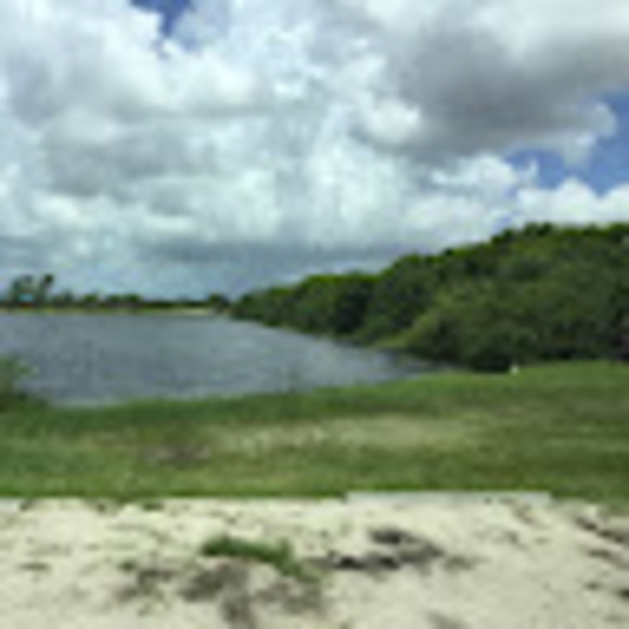 Meet your Posher, Alfredia - Picture 1 of 1